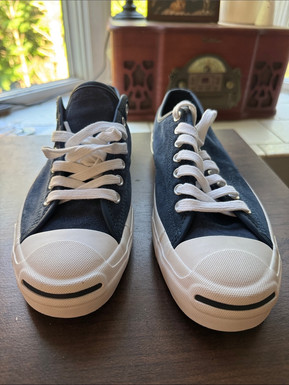 Converse Low-Top Sneakers in Navy and White